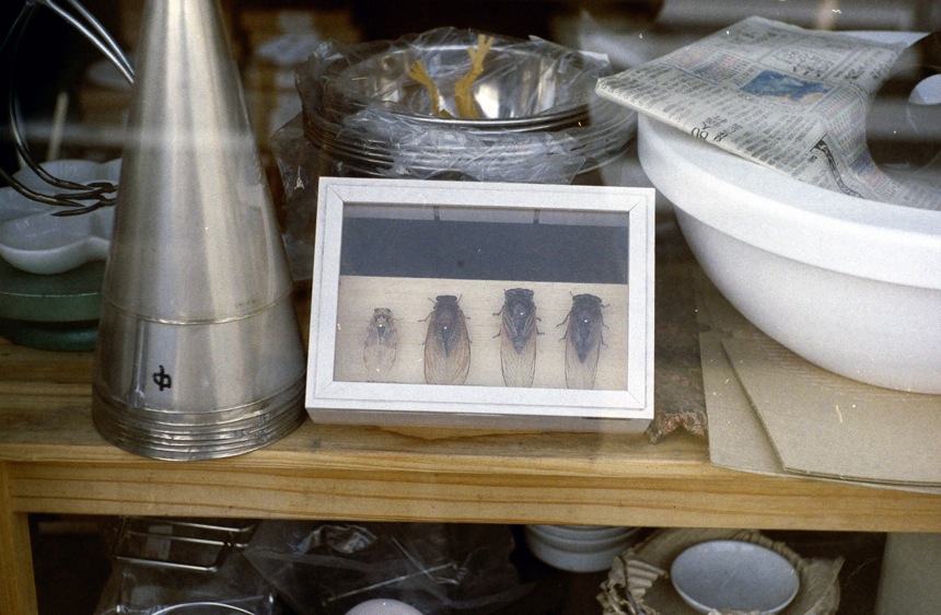 d0089742_22552323.jpg