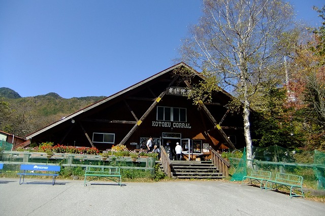 d0131847_23320098.jpg
