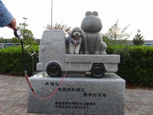 b0254548_08543680.jpg