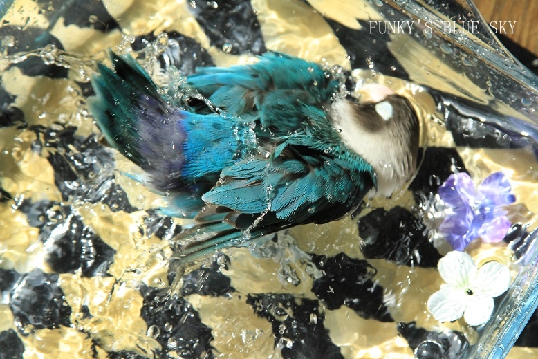 c0145250_12482437.jpg
