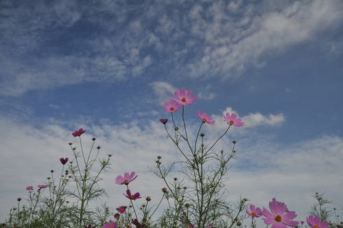 b0243152_11301449.jpg