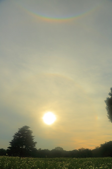 e0262257_13030275.jpg