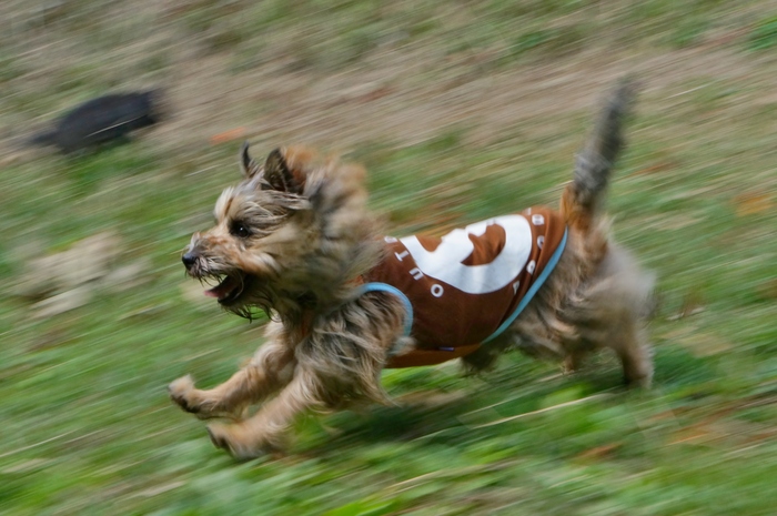 a0267860_20105063.jpg
