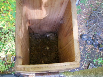 e0088260_22315239.jpg