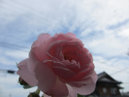 a0243064_20513053.jpg