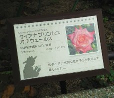 c0336266_11302887.jpg