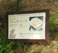 c0336266_11305261.jpg