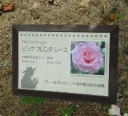 c0336266_11311550.jpg