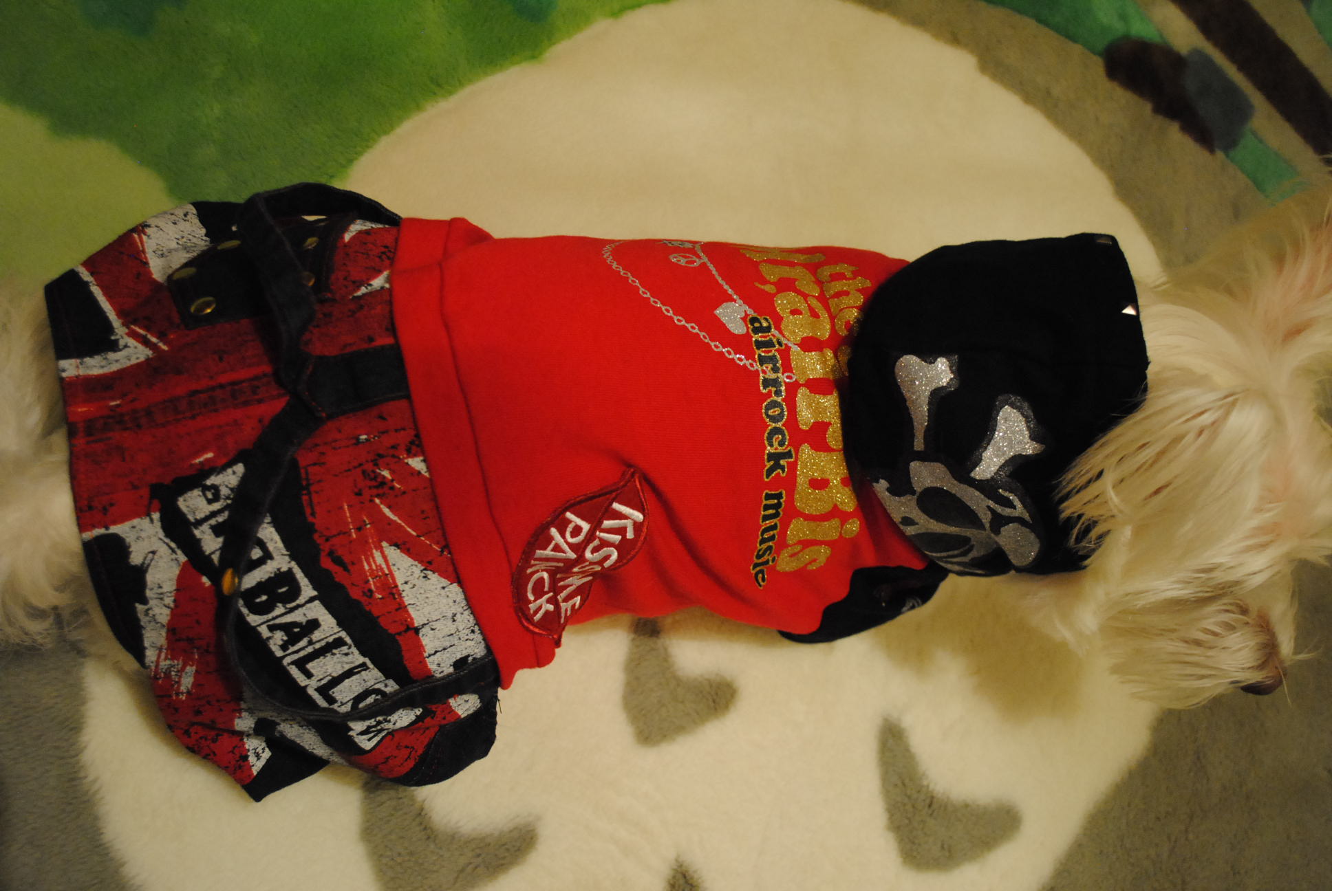 b0242873_00023229.jpg