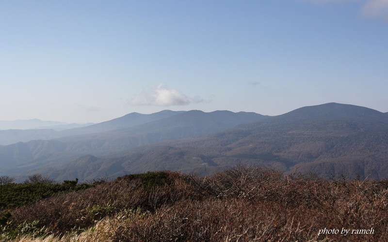 a0223677_92548.jpg