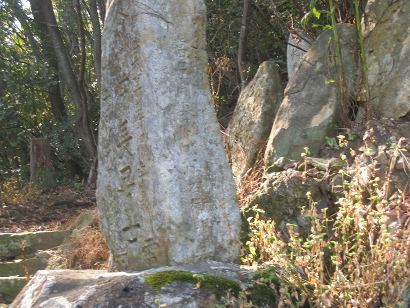 a0087378_3415642.jpg