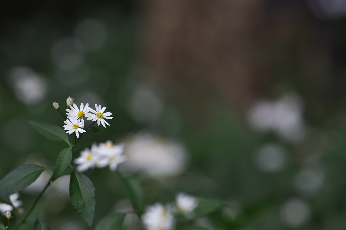 a0083081_1814212.jpg