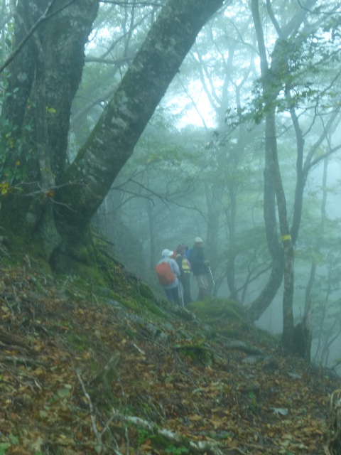 f0357487_073222.jpg