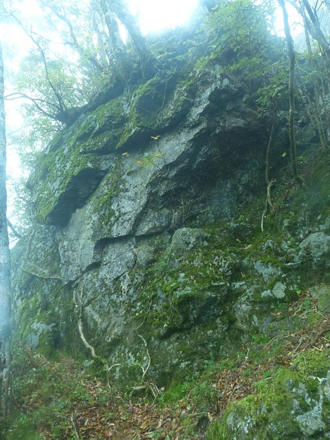 f0357487_07550.jpg