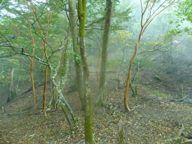 f0357487_13283029.jpg