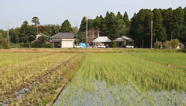 d0100095_9385856.jpg