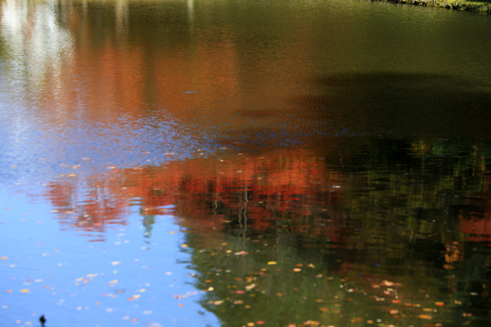 f0001895_14185812.jpg