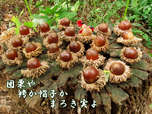 f0137096_1556496.jpg