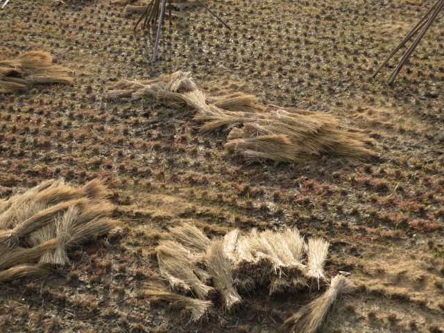 a0193698_08094891.jpg