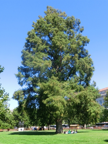 f0256400_20264699.jpg
