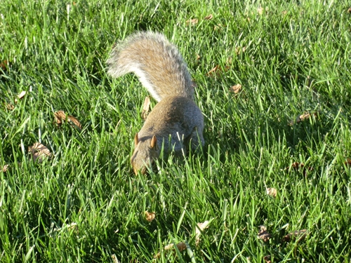 f0256400_20264989.jpg