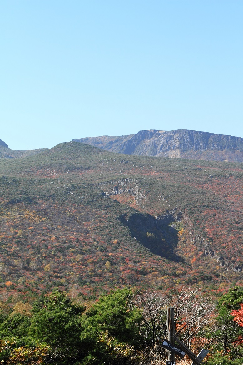 f0034602_17351167.jpg