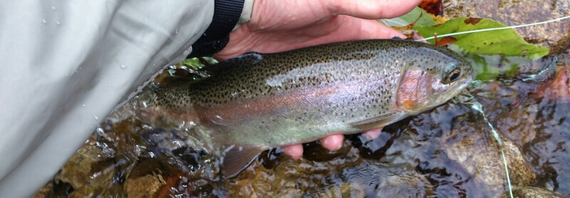 f0266202_17485697.jpg