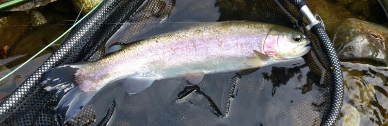 f0266202_17503284.jpg