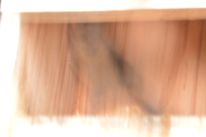 c0301809_17165733.jpg