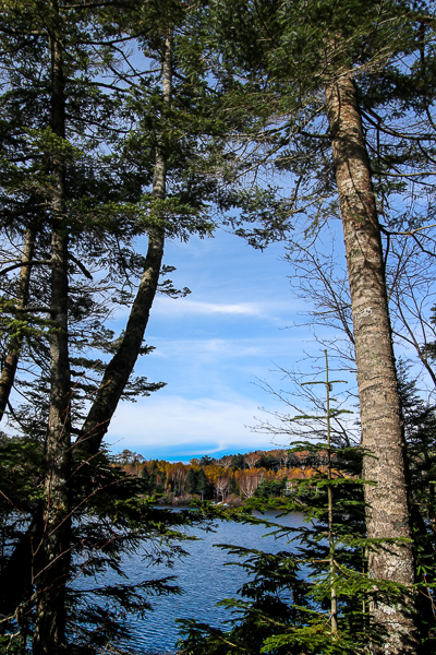 b0244811_11541584.jpg