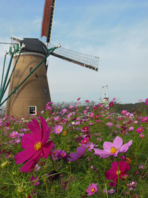 f0208812_1226375.jpg