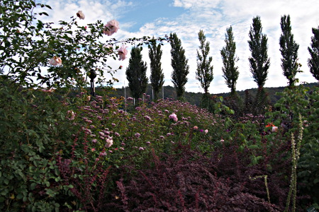e0292921_22184375.jpg