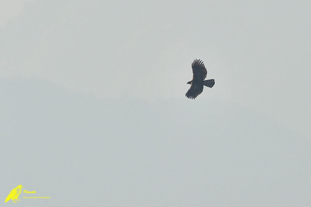 b0208227_843574.jpg