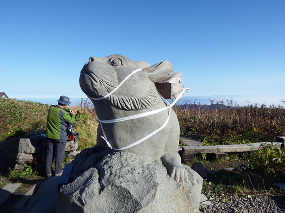 f0118332_1811279.jpg