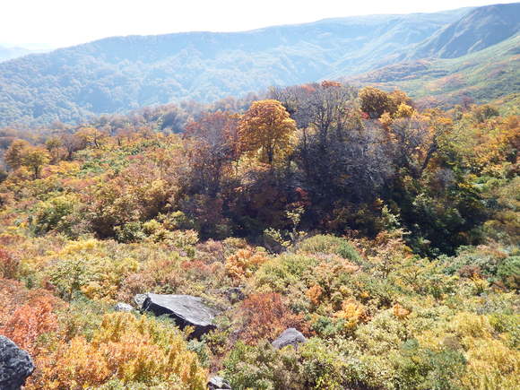 f0118332_18121830.jpg