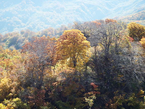 f0118332_18124563.jpg