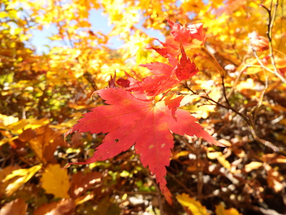 f0118332_18151769.jpg
