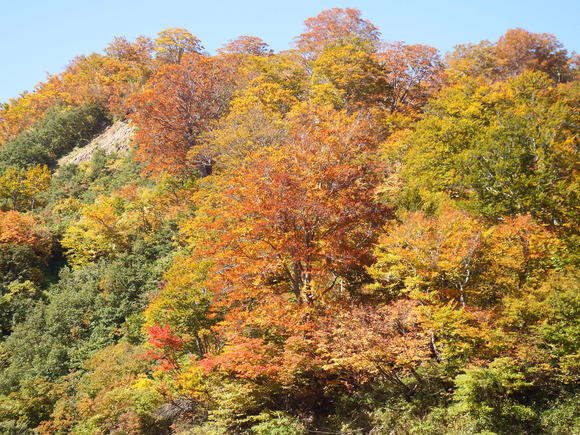 f0118332_18172018.jpg