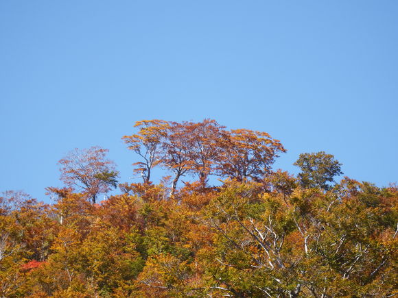 f0118332_18174196.jpg