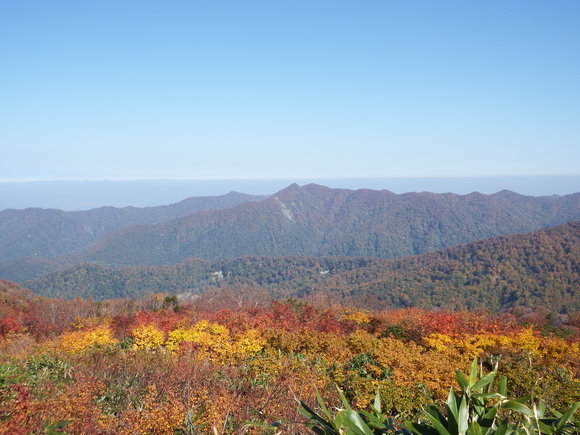 f0118332_18194528.jpg