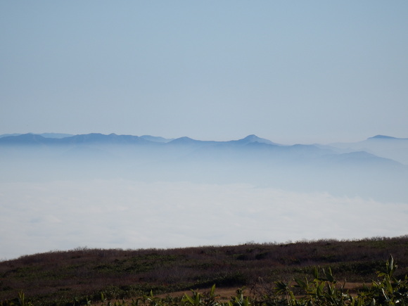 f0118332_182913.jpg