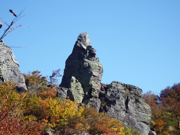 f0118332_188369.jpg