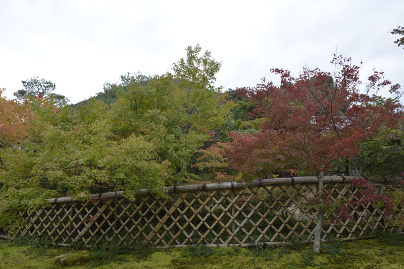b0042837_723228.jpg