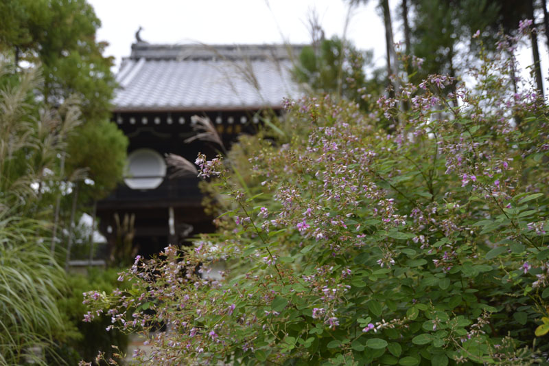 b0042837_7265433.jpg