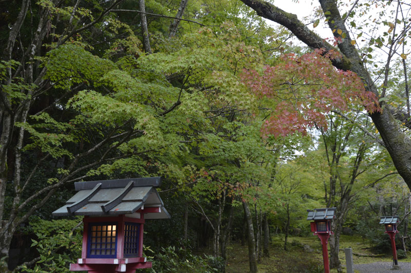b0042837_728281.jpg