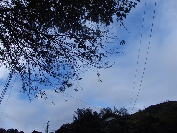 a0054240_2119298.jpg
