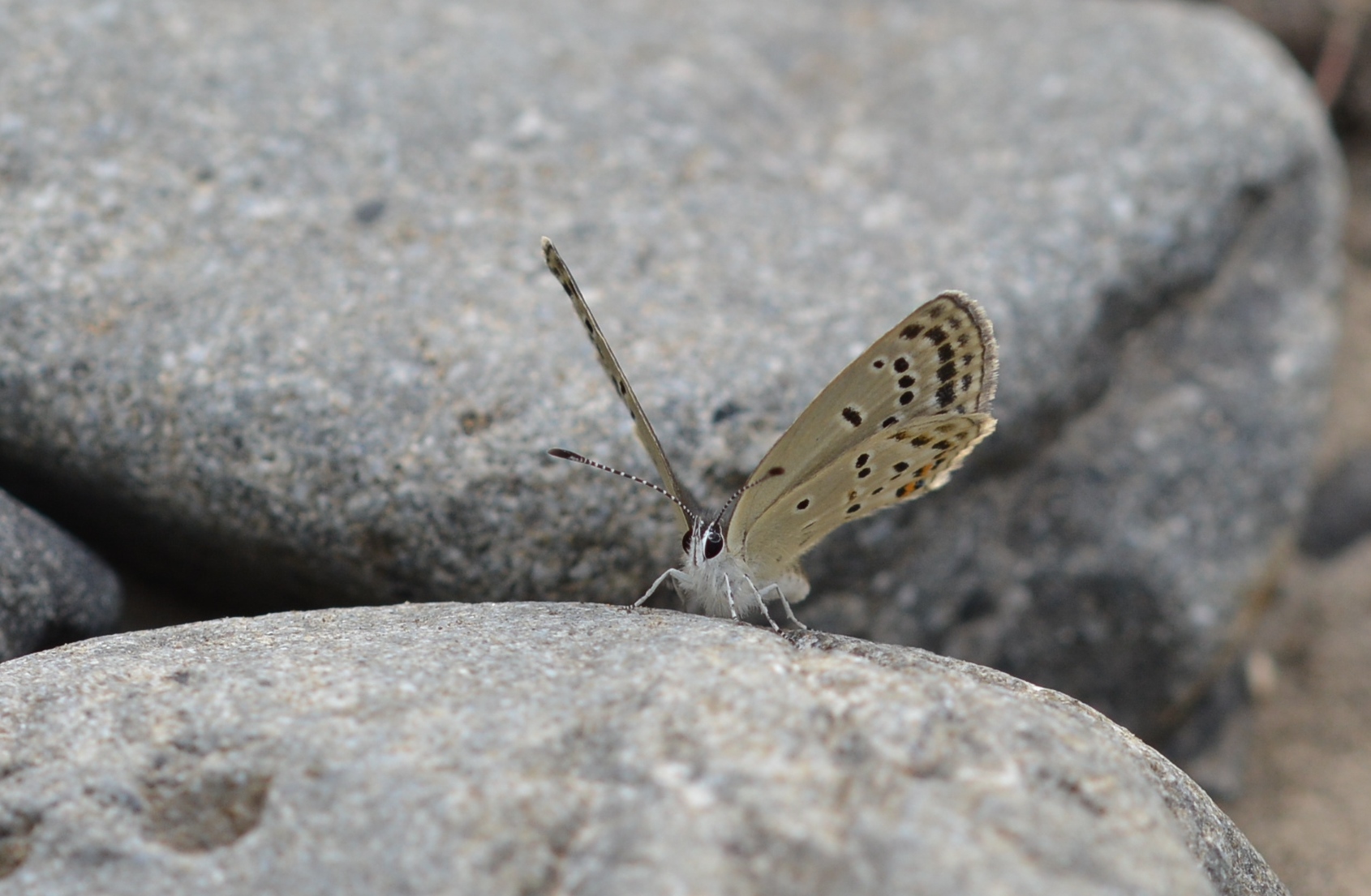 d0285540_7521529.jpg