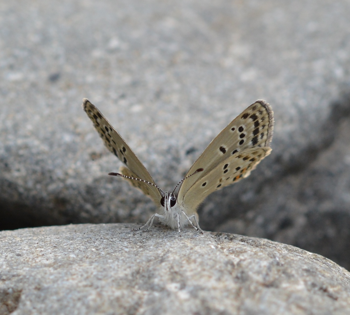 d0285540_7544817.jpg