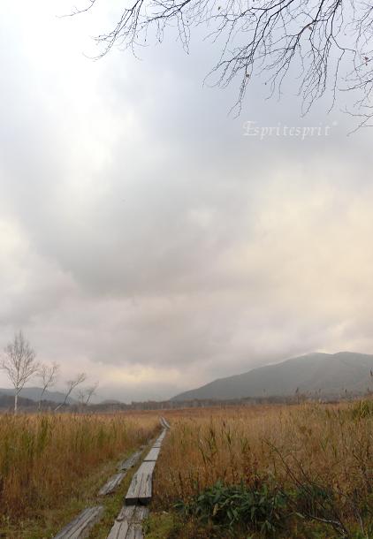f0142141_10492358.jpg