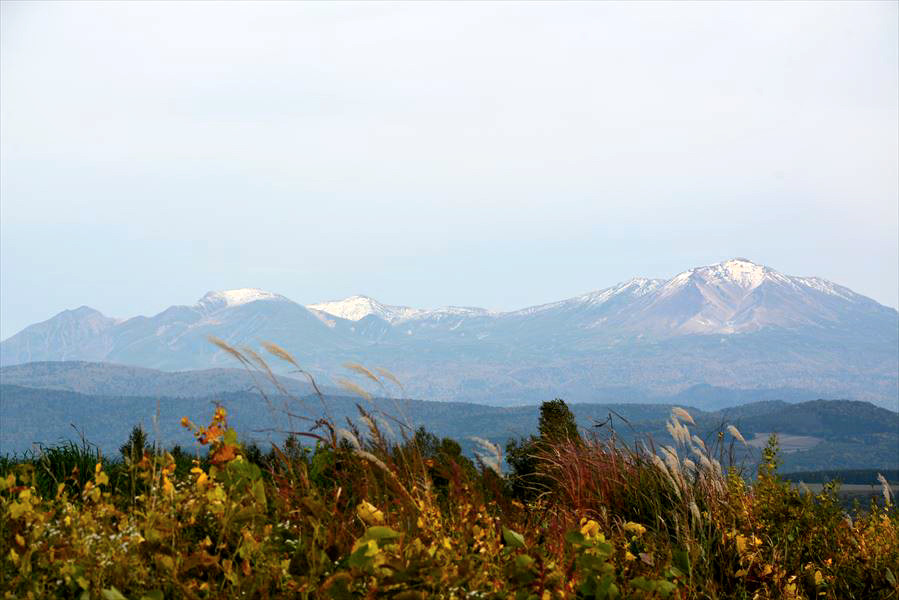 a0315942_22570861.jpg